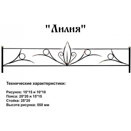 Лилия в Калуге