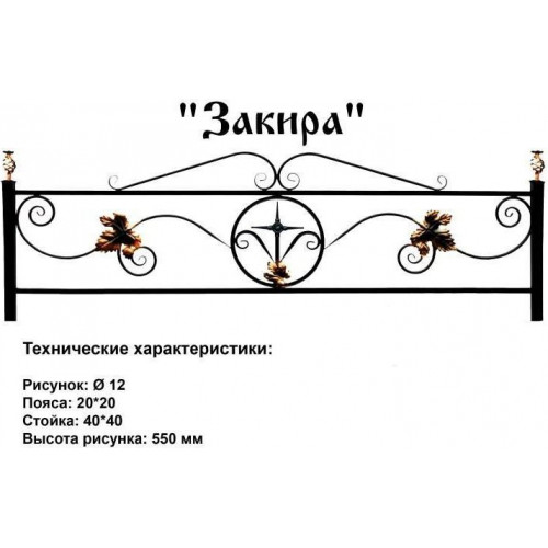 Закира в Калуге
